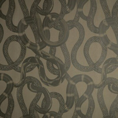 Behang snake peek van studio lisa bengtsson, groen behang met slangenprint