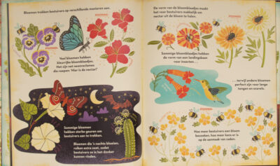 Boek Mijn mooiste bloemenboek - Rachel Ignotofsky