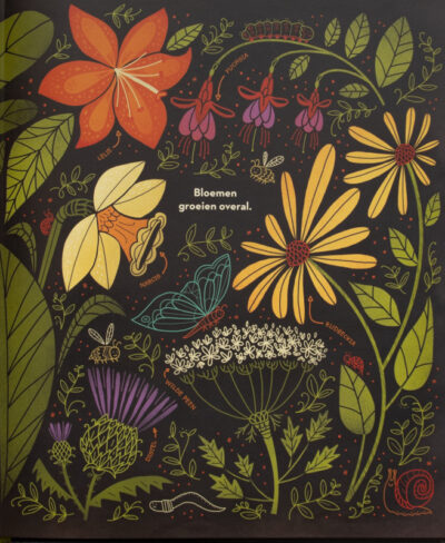 Boek Mijn mooiste bloemenboek - Rachel Ignotofsky