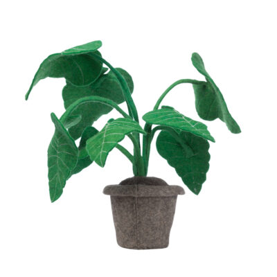 Alocasia plant van vilt KidsDepot