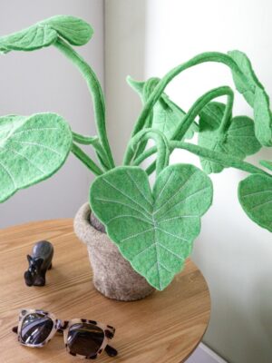 Sfeerfoto Alocasia plant van vilt KidsDepot