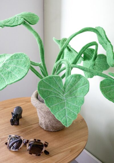 Sfeerfoto Alocasia plant van vilt KidsDepot