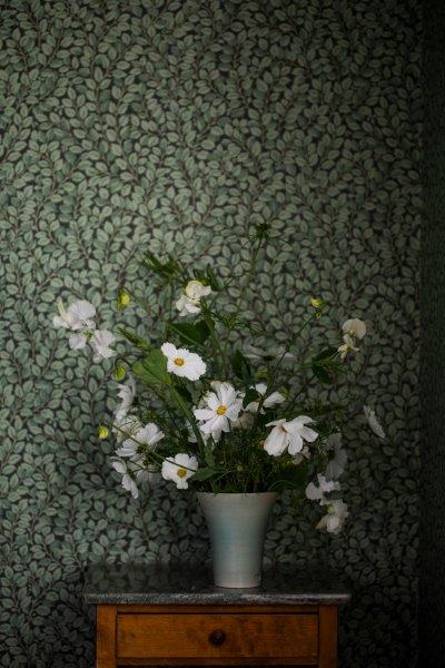 Details Botanisch behang Boråstapeter Behang Hazel - donkergroen