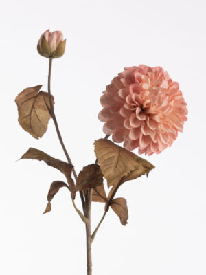 Kunst Dahlia - roze