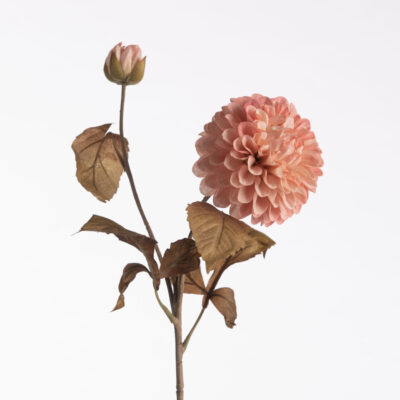 Kunst Dahlia - roze